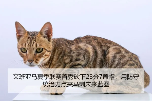 wen-ban-ya-ma-xia-ji-lian-sai-shou-xiu-kan-xia-fen-gai-mao-yong-fang-shou-tong-zhi-li-dian-liang-ma-ci-wei-lai-lan-tu-2-834.jpg